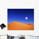 At night in the desert Wall Mural