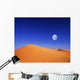 At night in the desert Wall Mural