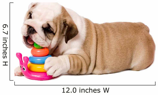 puppy Wall Decal
