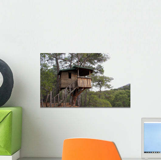 House Wall Mural