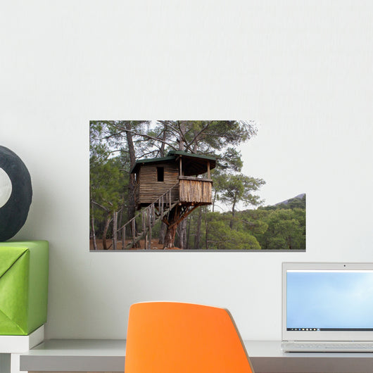 House Wall Mural