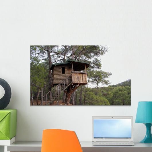 House Wall Mural