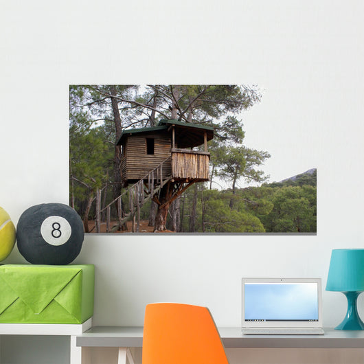 House Wall Mural
