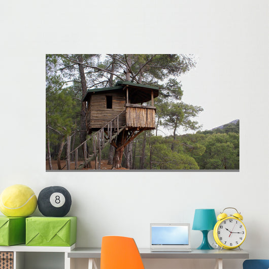 House Wall Mural