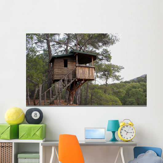 House Wall Mural