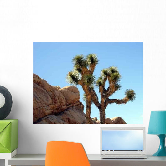 Joshua Trees Rocks Wall Decal