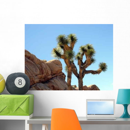 Joshua Trees Rocks Wall Decal