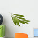 Olives with leaves Wall Decal