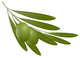 Olives with leaves Wall Decal
