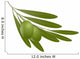 Olives with leaves Wall Decal