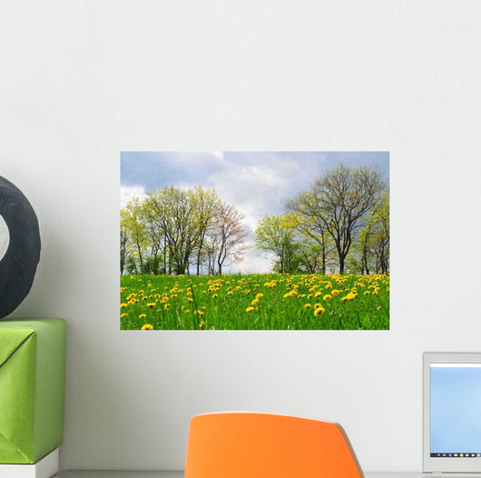 Landscape Meadow Spring Flowers Wall Decal