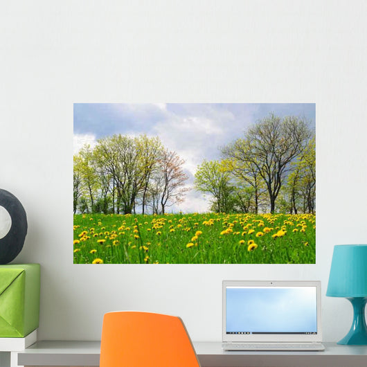 Landscape Meadow Spring Flowers Wall Decal
