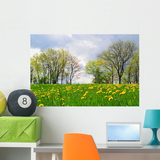 Landscape Meadow Spring Flowers Wall Decal