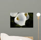 Cala Lilly Dewdrops Wall Mural