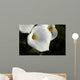 Cala Lilly Dewdrops Wall Mural