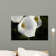 Cala Lilly Dewdrops Wall Mural
