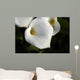 Cala Lilly Dewdrops Wall Mural