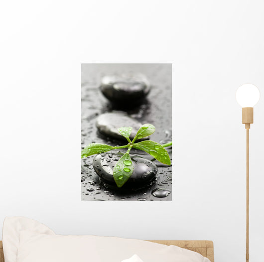 Leaves with water drops on spa stones Wall Mural