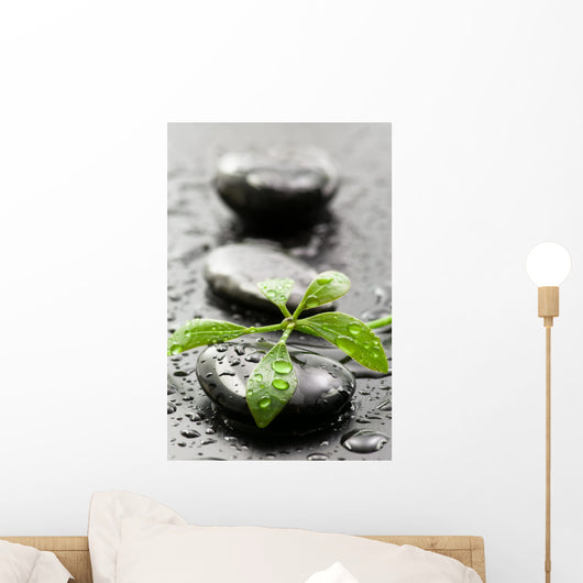 Leaves with water drops on spa stones Wall Mural