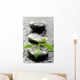Leaves with water drops on spa stones Wall Mural