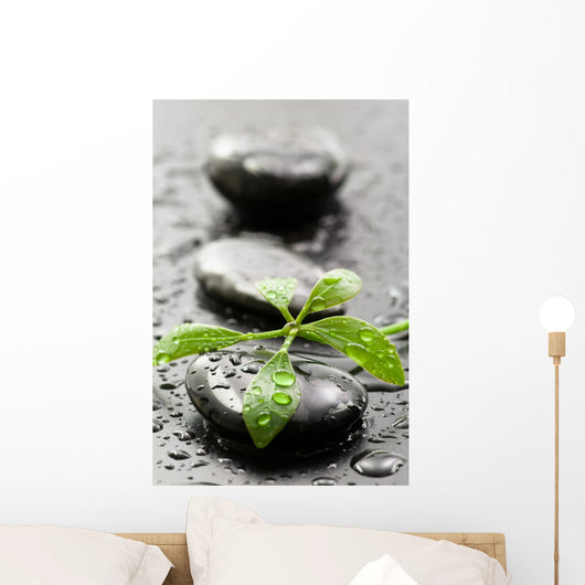 Leaves with water drops on spa stones Wall Mural