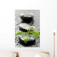 Leaves with water drops on spa stones Wall Mural