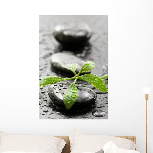 Leaves with water drops on spa stones Wall Mural