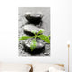 Leaves with water drops on spa stones Wall Mural