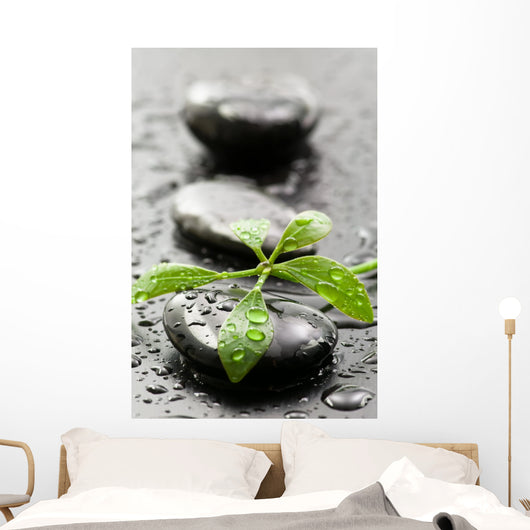 Leaves with water drops on spa stones Wall Mural