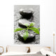 Leaves with water drops on spa stones Wall Mural