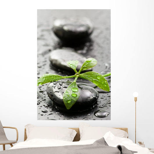 Leaves with water drops on spa stones Wall Mural