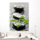 Leaves with water drops on spa stones Wall Mural