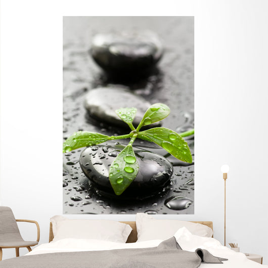 Leaves with water drops on spa stones Wall Mural