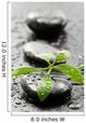 Leaves with water drops on spa stones Wall Mural