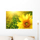 Big yellow sunflower Wall Mural