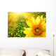 Big yellow sunflower Wall Mural