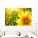 Big yellow sunflower Wall Mural
