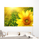 Big yellow sunflower Wall Mural