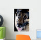 Dog Black Closeup Wall Mural