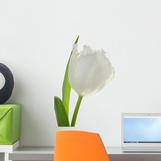 White Tulip Wall Decal