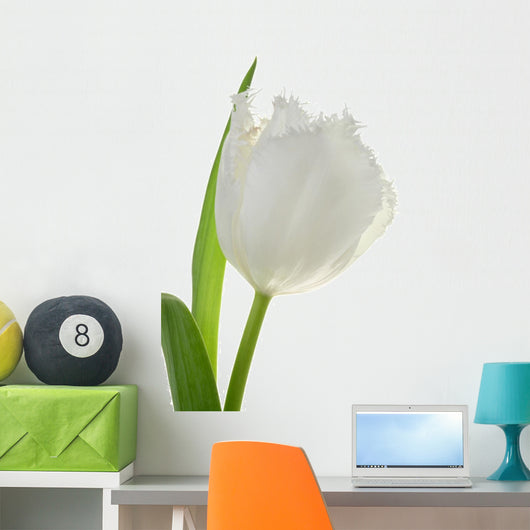 White Tulip Wall Decal
