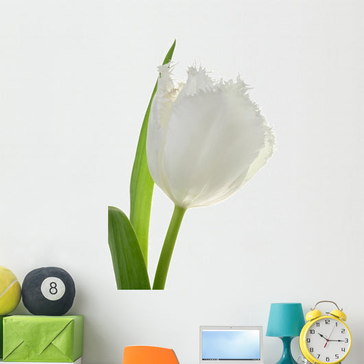 White Tulip Wall Decal