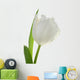 White Tulip Wall Decal