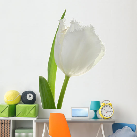 White Tulip Wall Decal