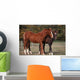 Couple Chevaux Race Trakehner Wall Mural