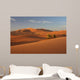 Merzouga dunes Wall Mural
