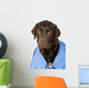 Shot of Dr Labrador with Copy Space Wall Decal
