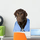 Shot of Dr Labrador with Copy Space Wall Decal
