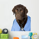 Shot of Dr Labrador with Copy Space Wall Decal