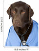 Shot of Dr Labrador with Copy Space Wall Decal